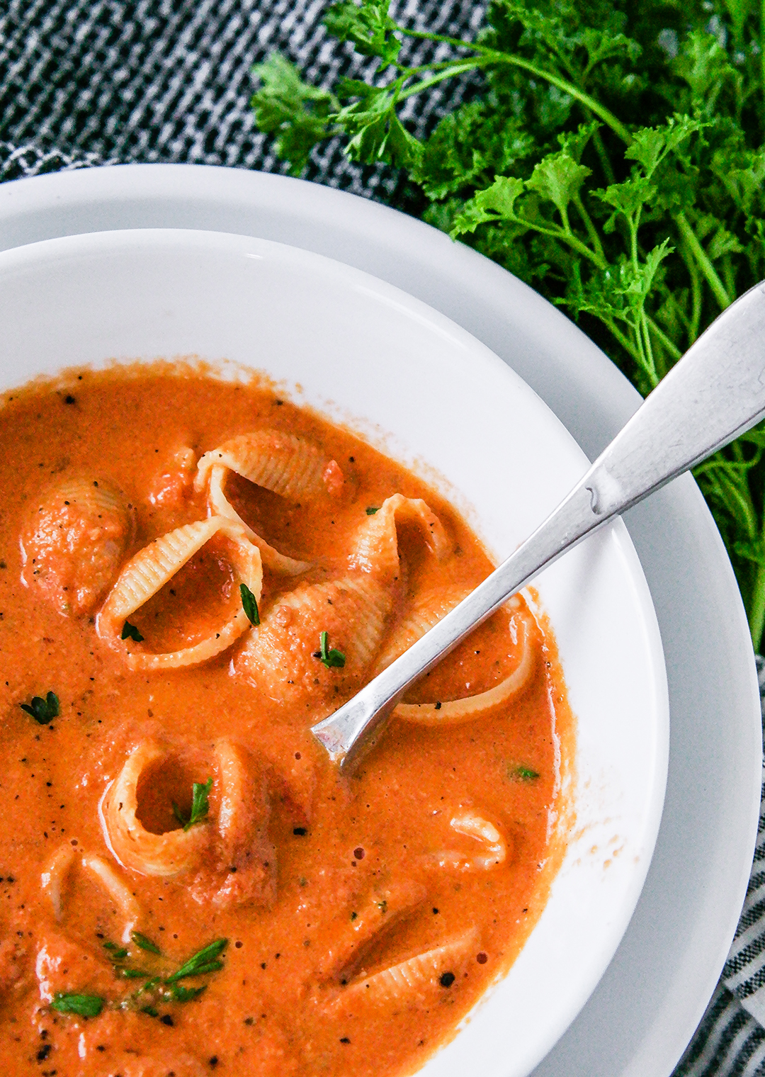 Polonaise Soup (Tomato Soup with Cheddar and Pasta) - Candy Jar Chronicles